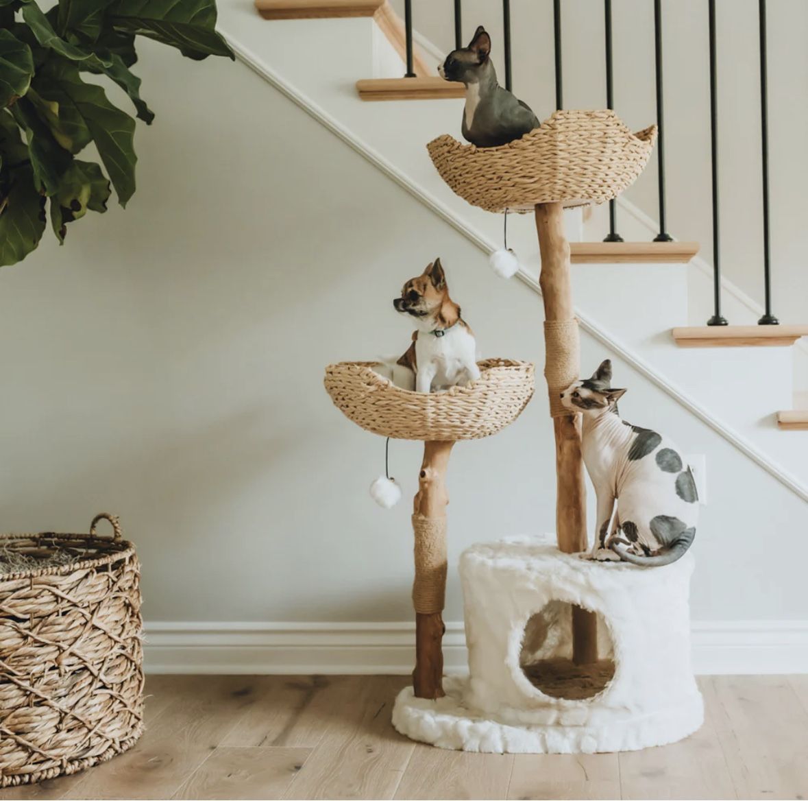 Mau Cat Tree