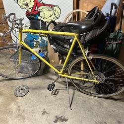 Schwinn Bike