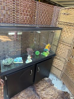 Aquarium