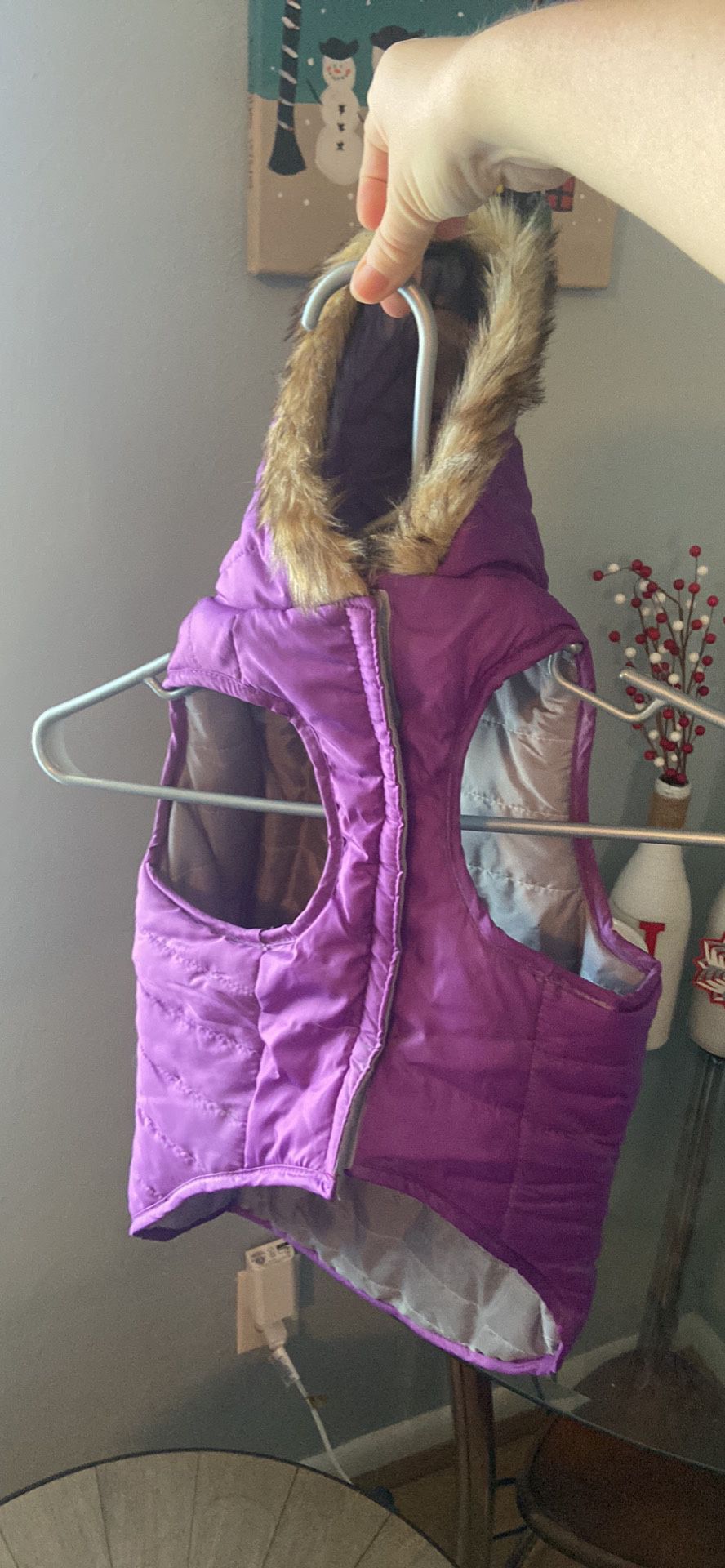 Winter Dog Coat 