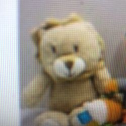 Teddy Bear