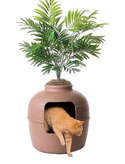 Stylish brand new litter box