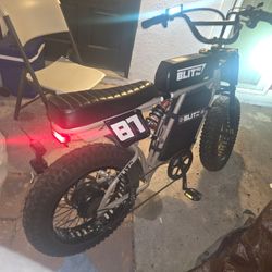 Heavy Duty Ebike