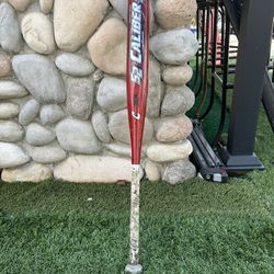 Bat 