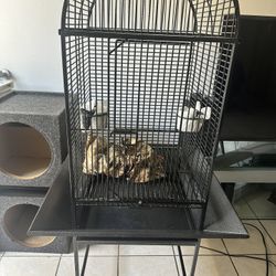 bird cage 