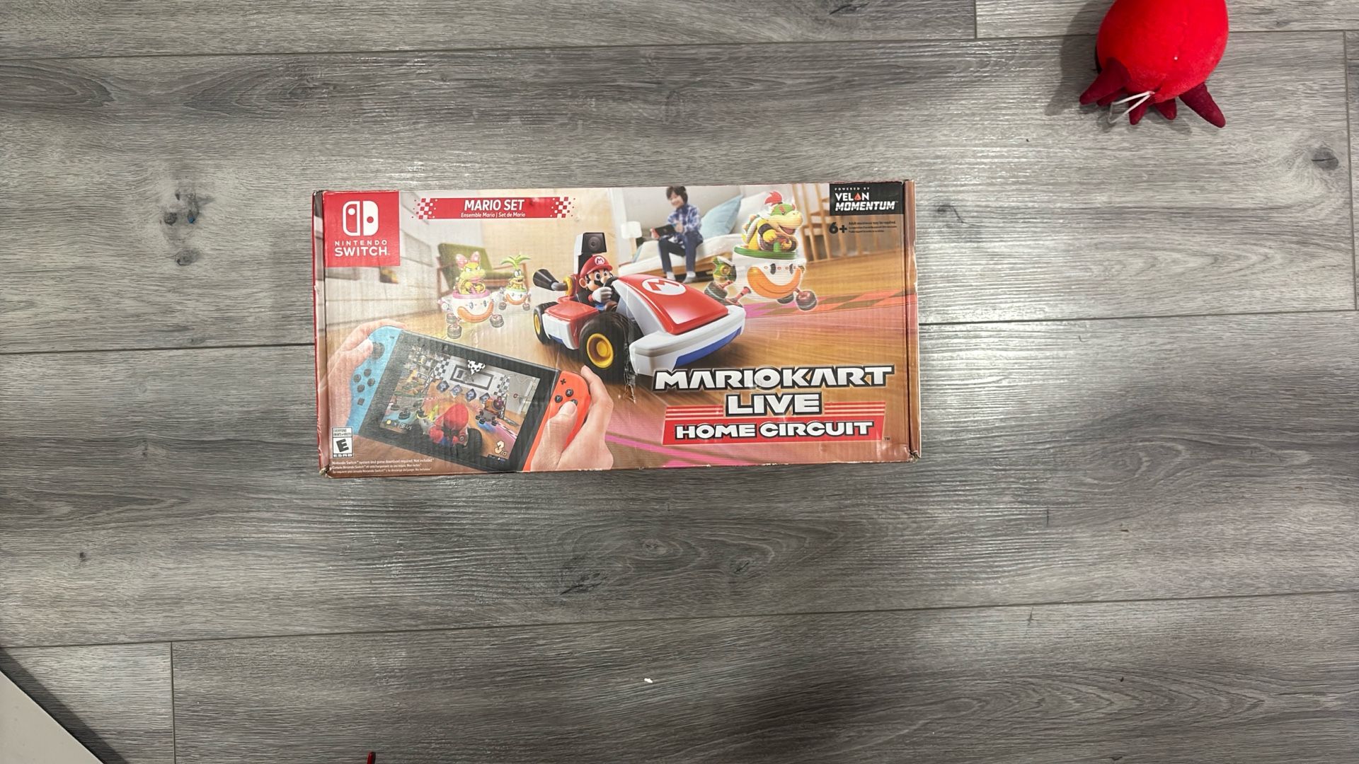 Mario Kart Live Home Circuit