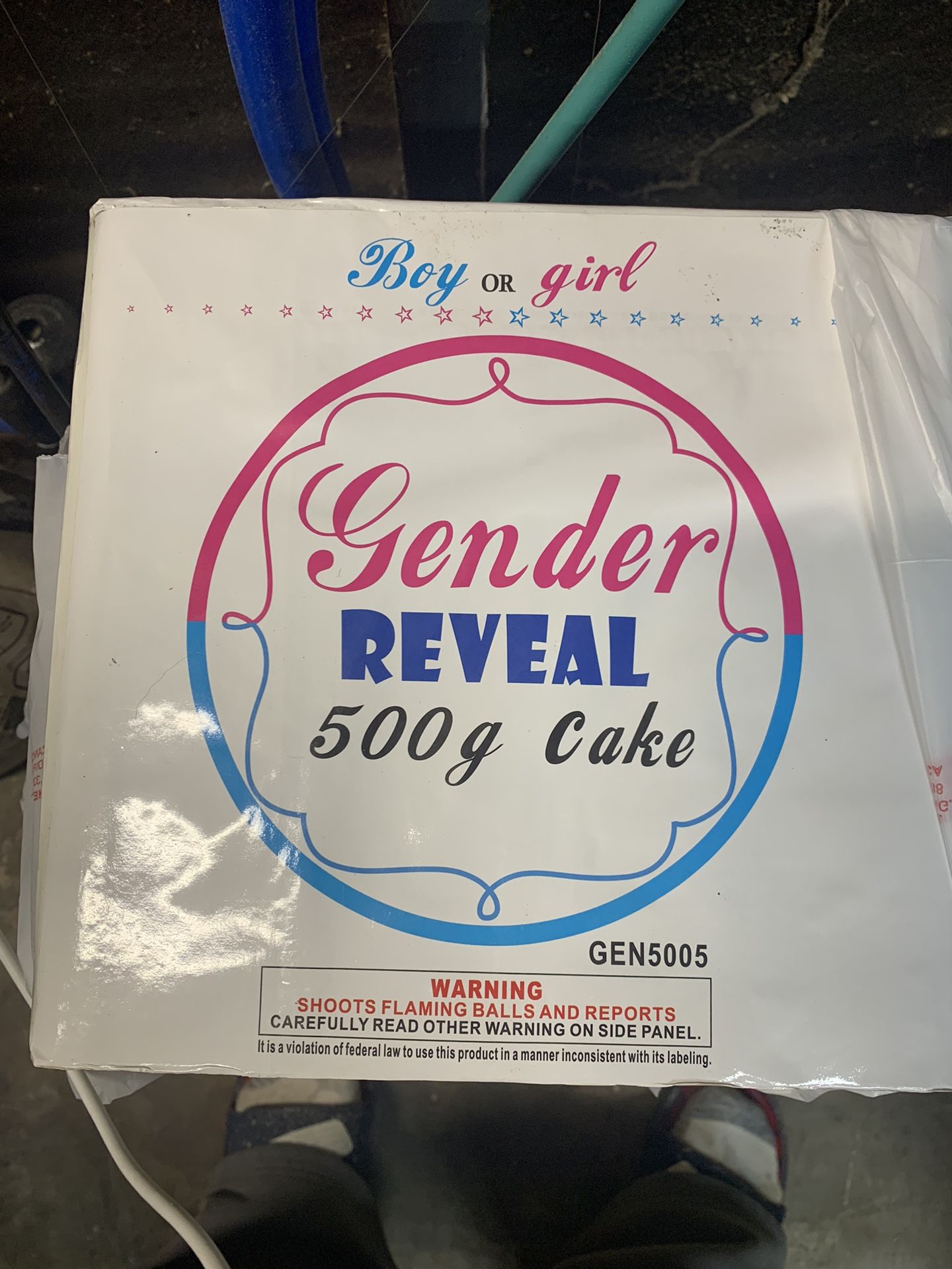 Gender Reveal Celebration(Girl)