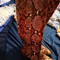 Pink Leopard Snake Skin Boots Size 8.5 So Pretty Soft pink Sooooo Pretty Great Stable Comfortable Heel