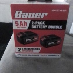 Bauer 2 Pack Battery 