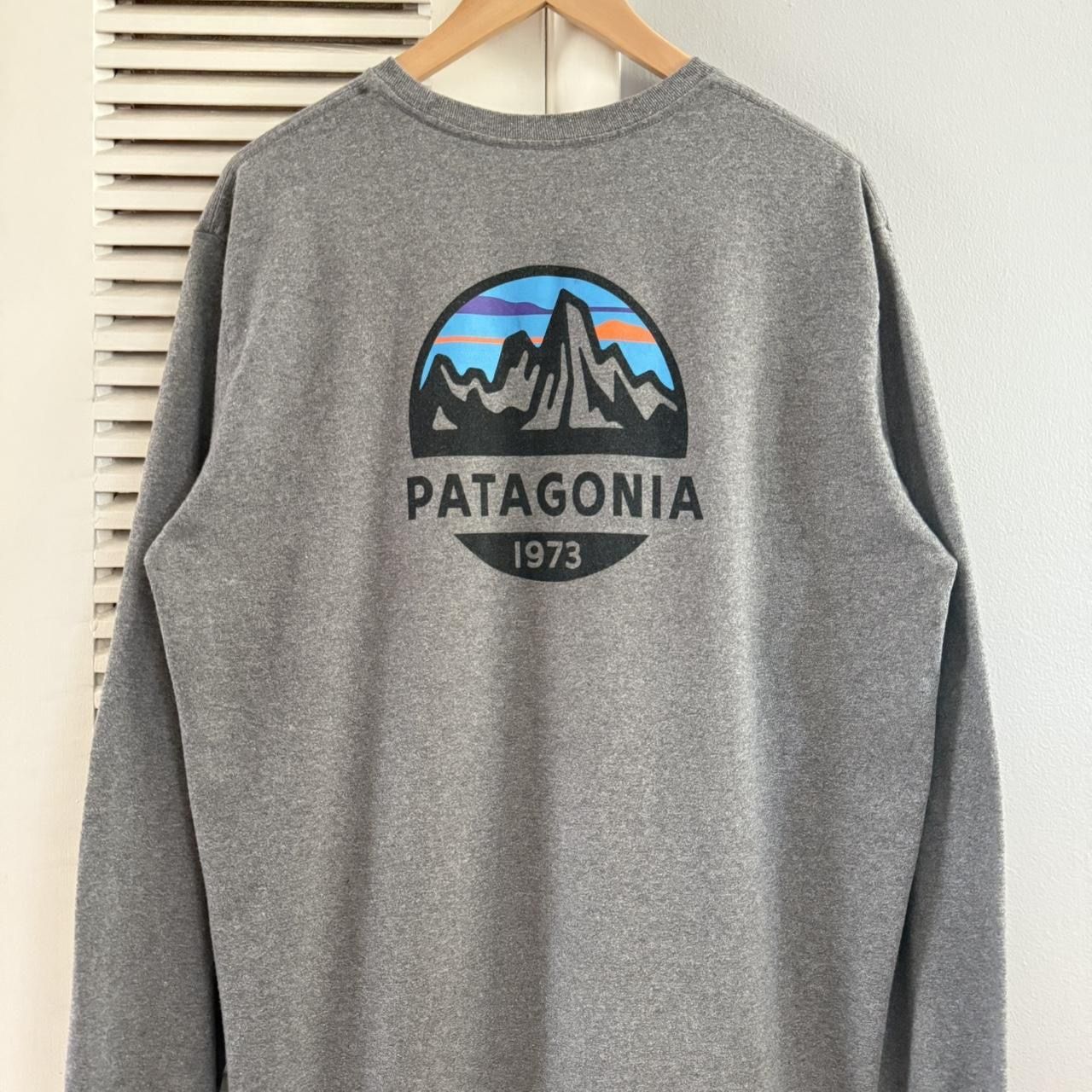 Patagonia Long Sleeves T-shirt