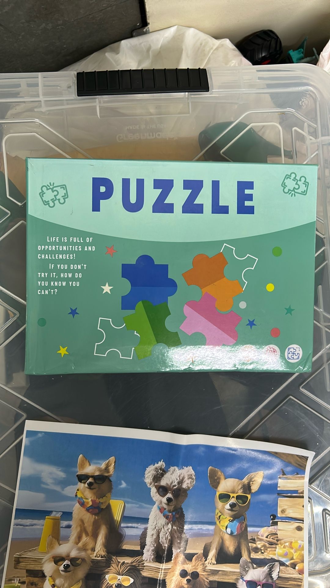 1000 Piece Jigsaw Puzzle “ Brain Teaser”