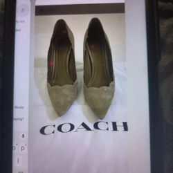 Coach Waverly Pumps Suede 