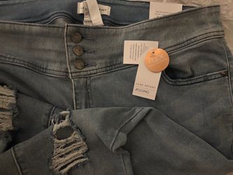 Lane Bryant Jeggings