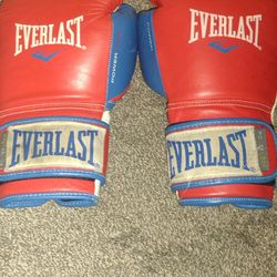 Everlast Powerloc Boxing Gloves 16oz 