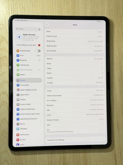 Apple iPad Pro 11" M4 256GB Wi-Fi + Cellular ~ Unlocked