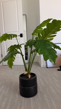 Artificial Monstera Plant in Black Pot