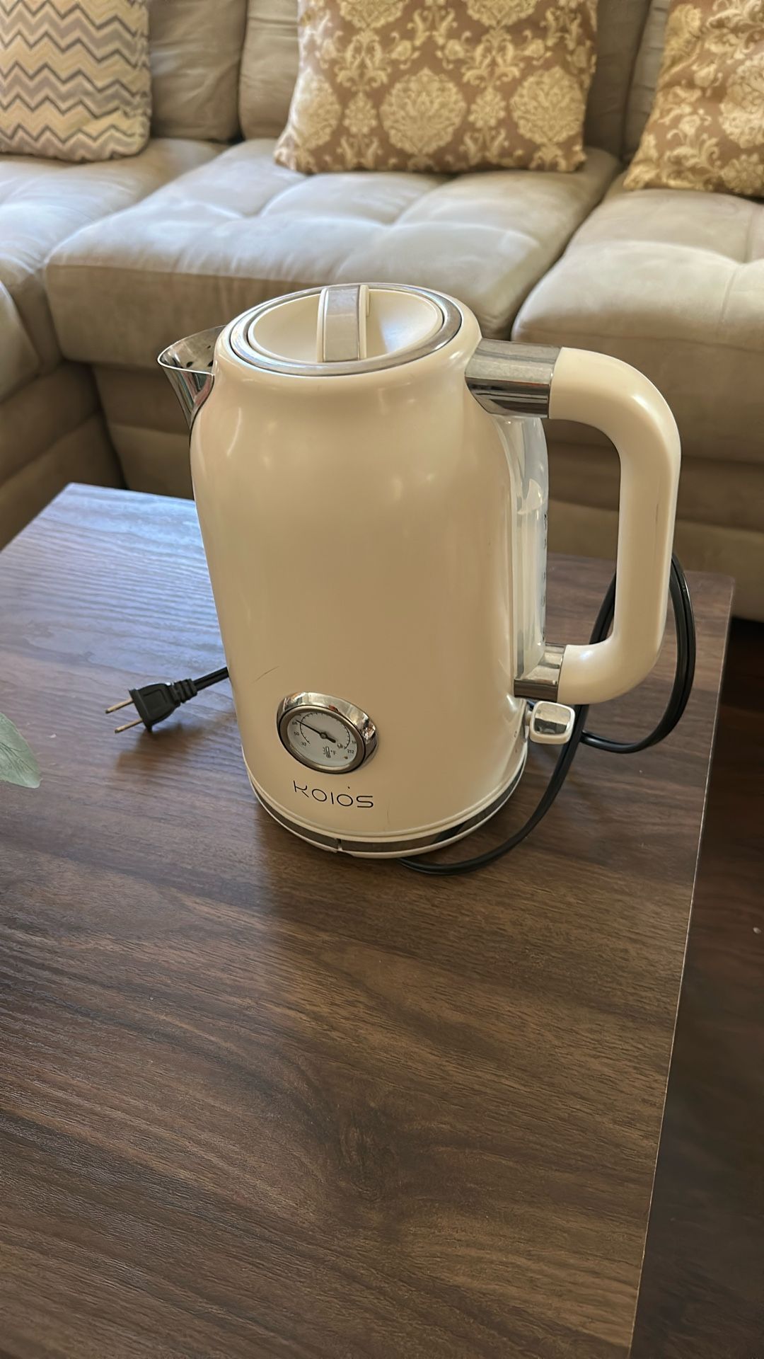 electric kettle