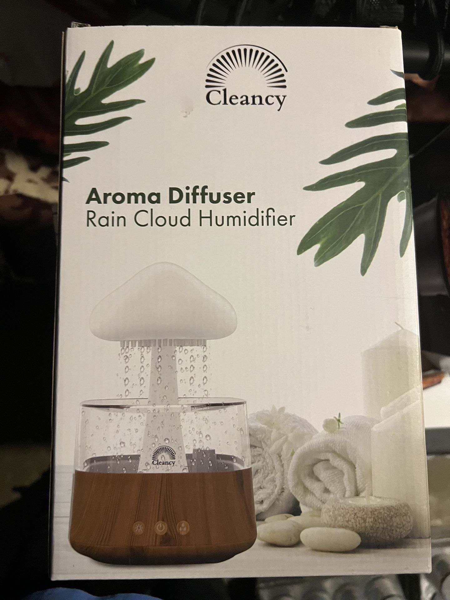 Rain Cloud Humidifier