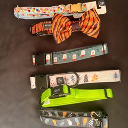 Dog Collars