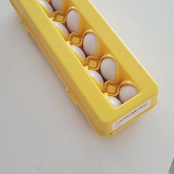 1 Dozen Eggs- Educational 