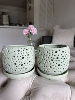 Stunning Orchid Pots (2)