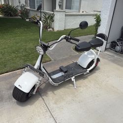 Fat bear Scooter