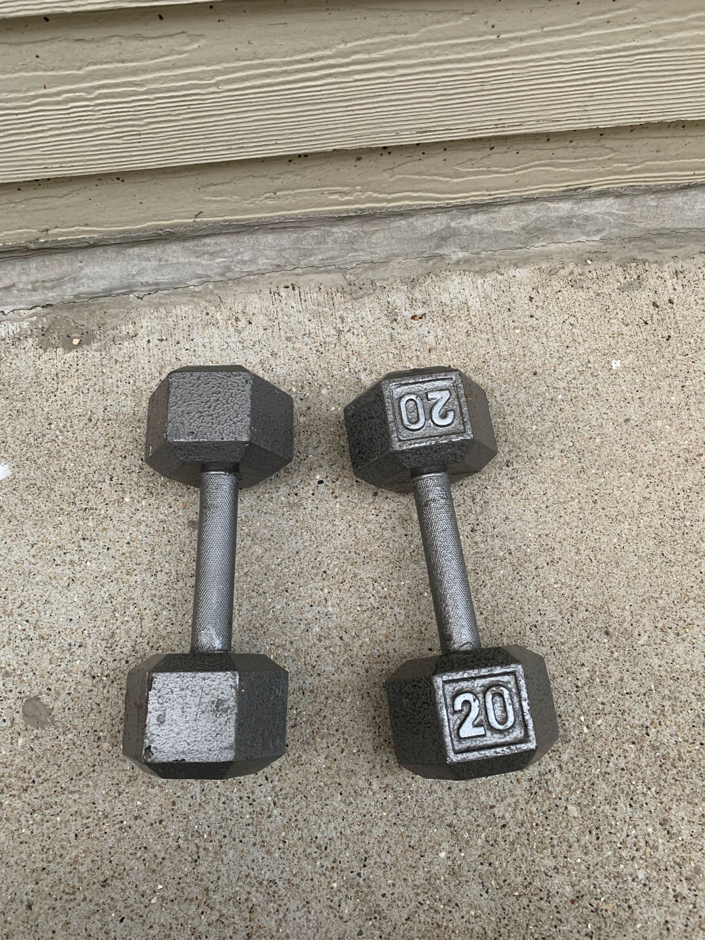 20 Lb dumbbells