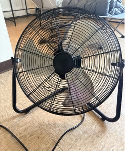 Fan