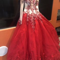Quinceañera Dress 