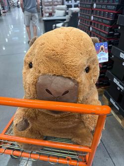 Jumbo Plush Capybara