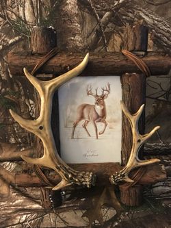 Buck🦌pic frame