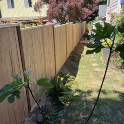 Fence