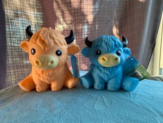 Squeeezy Hyland Cow