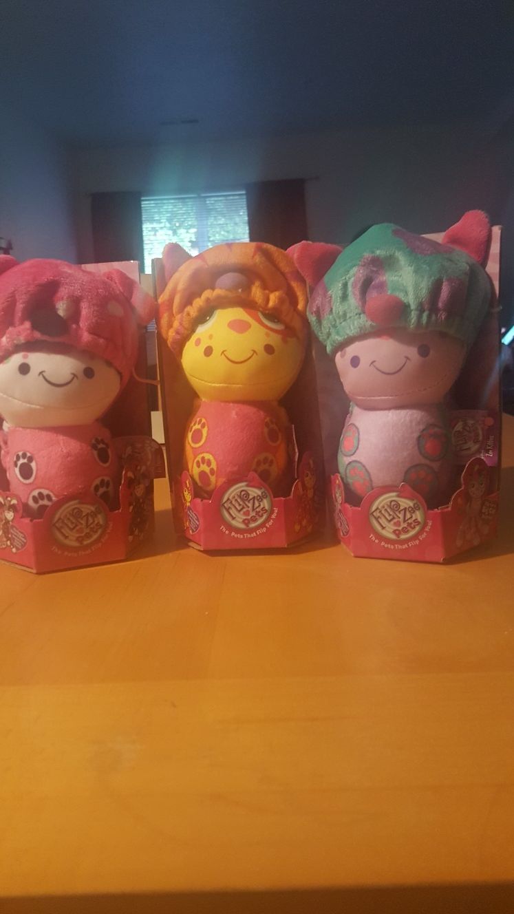 Flip Zee Pets for Sale in Cary, NC OfferUp