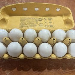 Duck Eggs