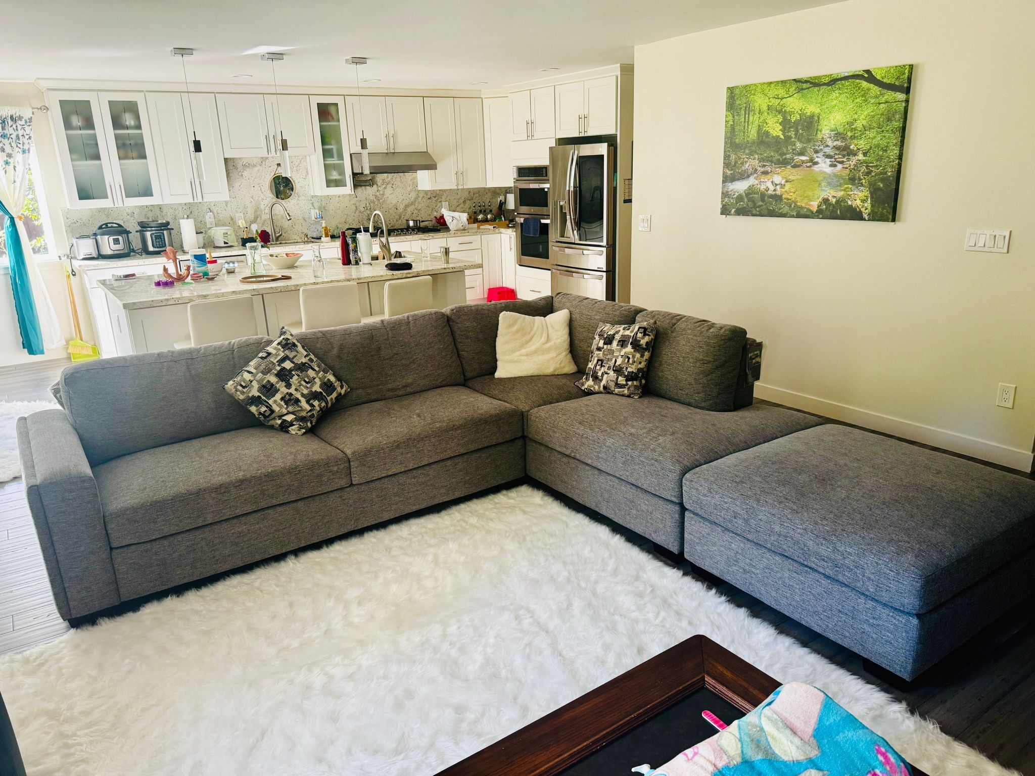 Sectional Couch