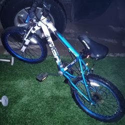 MT 20.  - 20 Inch BMX