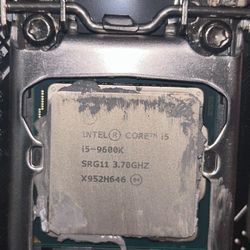 Intel i5 9600K / Asus Z390-A / Vengeance DDR4 32gb