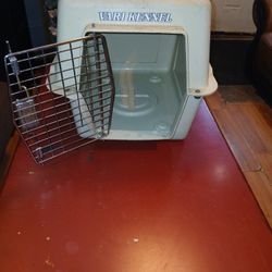 Pet Carrier Pick Up In Chicago  Pilsen Area 