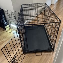 EveryYay Going Places 1-Door Folding Dog Crate