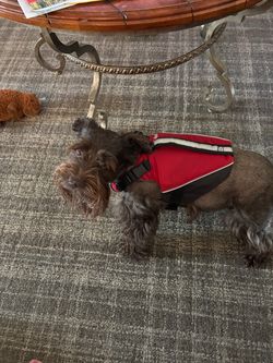 L.L.Bean Dog Life Jacket / PFD – XS – 12–24 lbs