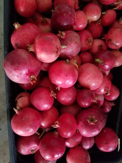Pomegranates