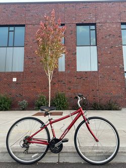 Raleigh Detour 3.5 Hybrid Bike – Small 17" Frame, 21-Speed