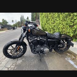 2020 Harley Davidson Iron 883 sportser