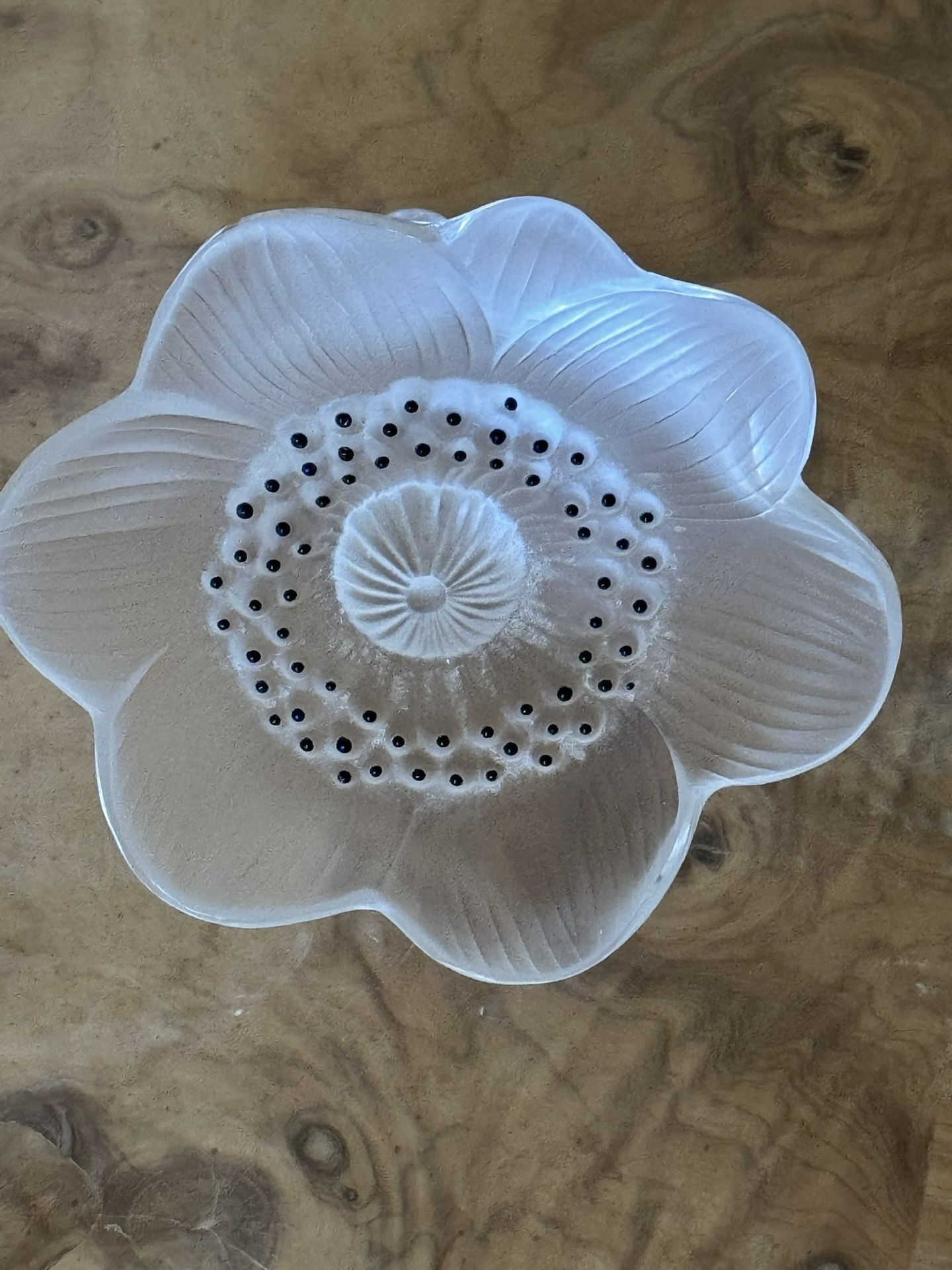 1990s Lalique Anemone Frosted Crystal Paperweight
