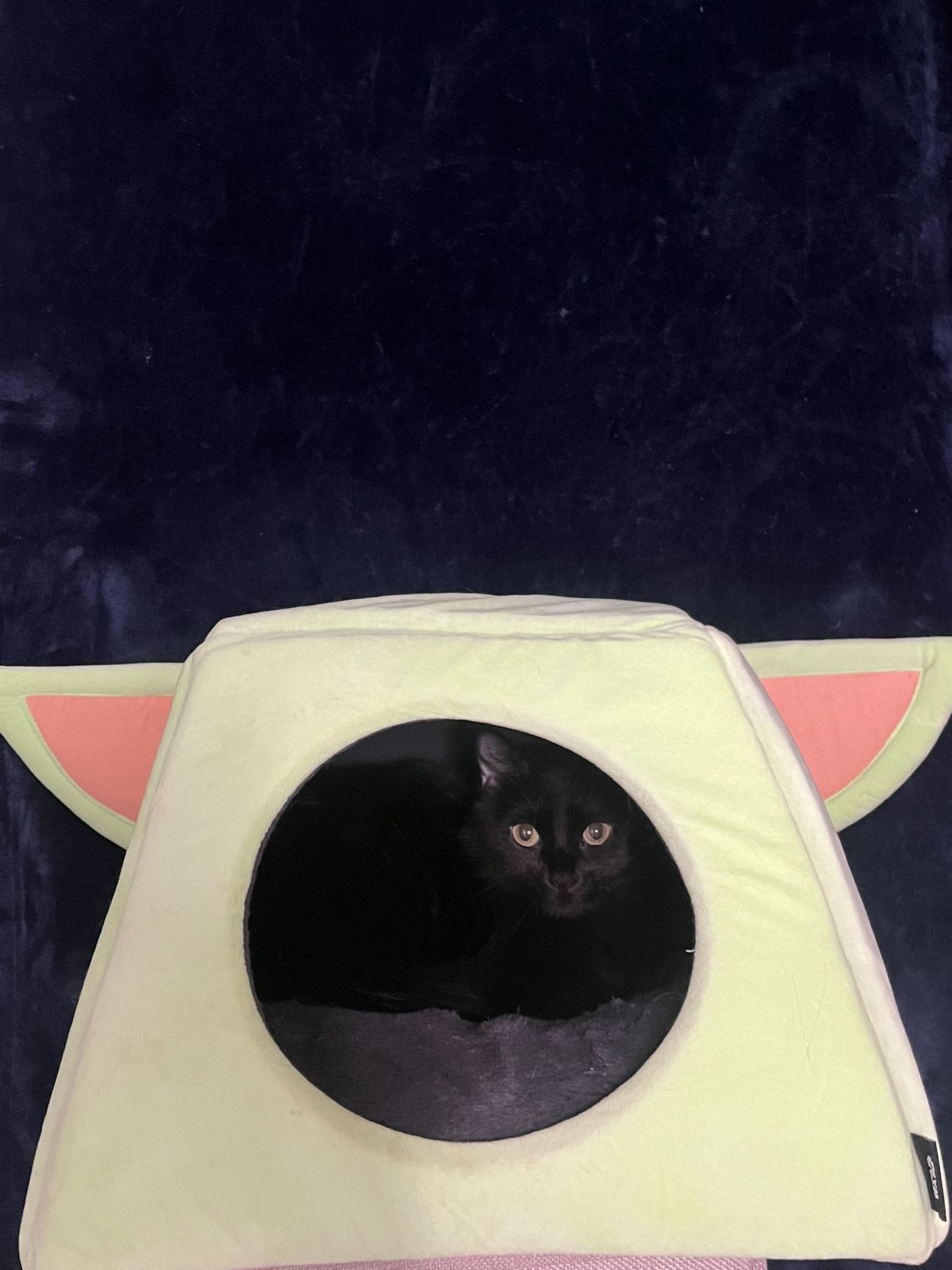 Star Wars The Child Pet Bed