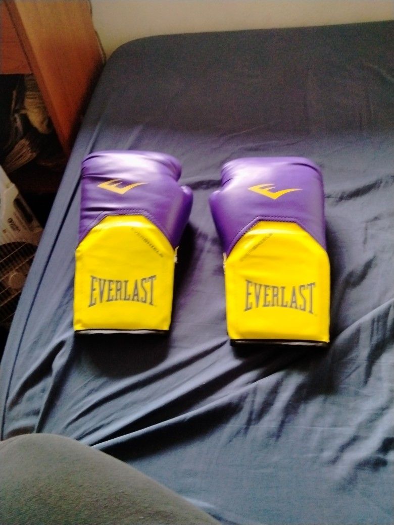 Everlast Boxing Gloves