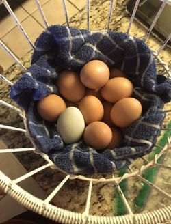 🥚 Farm fresh eggs 🥚