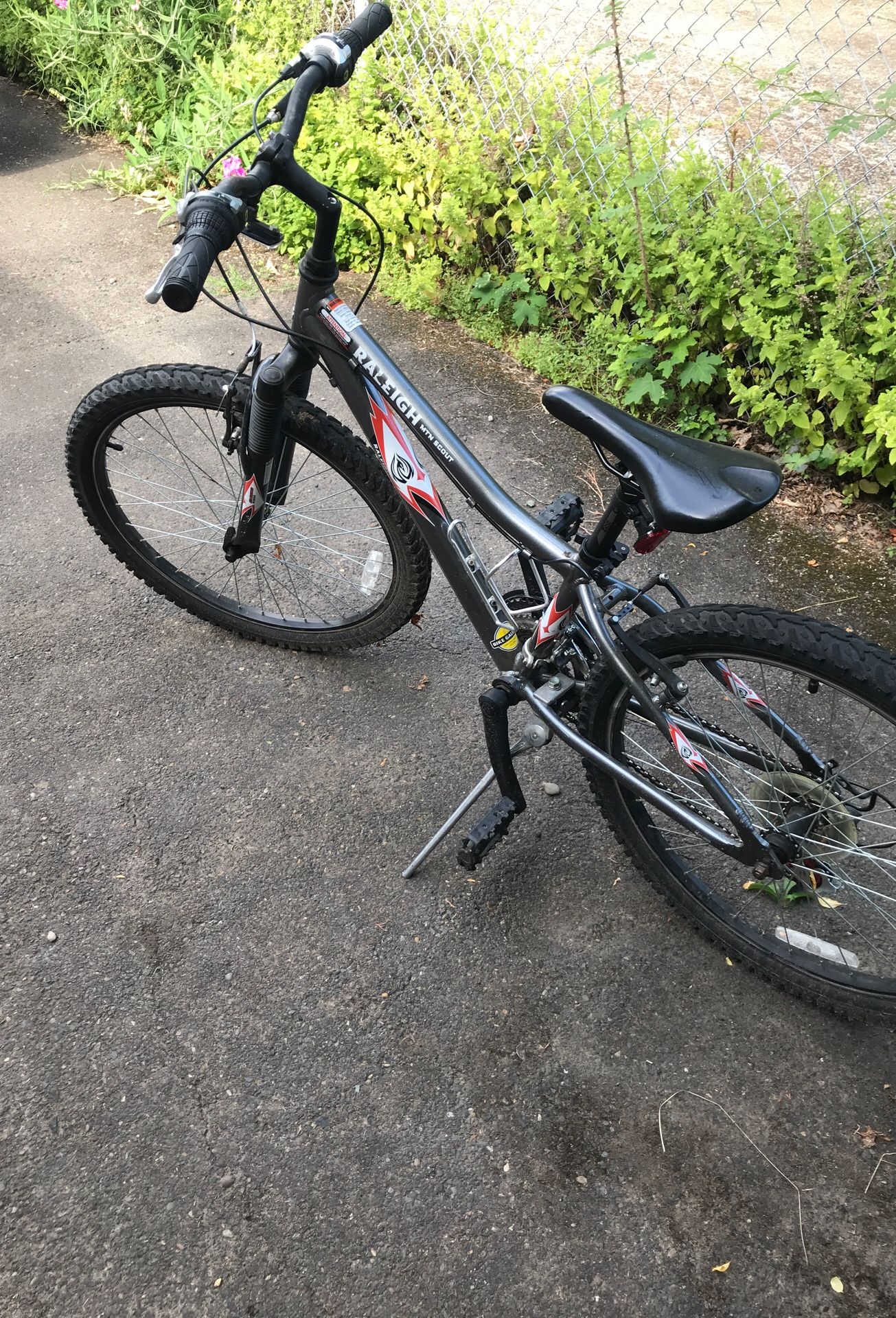 Small Kids Raleigh Mountain Bike