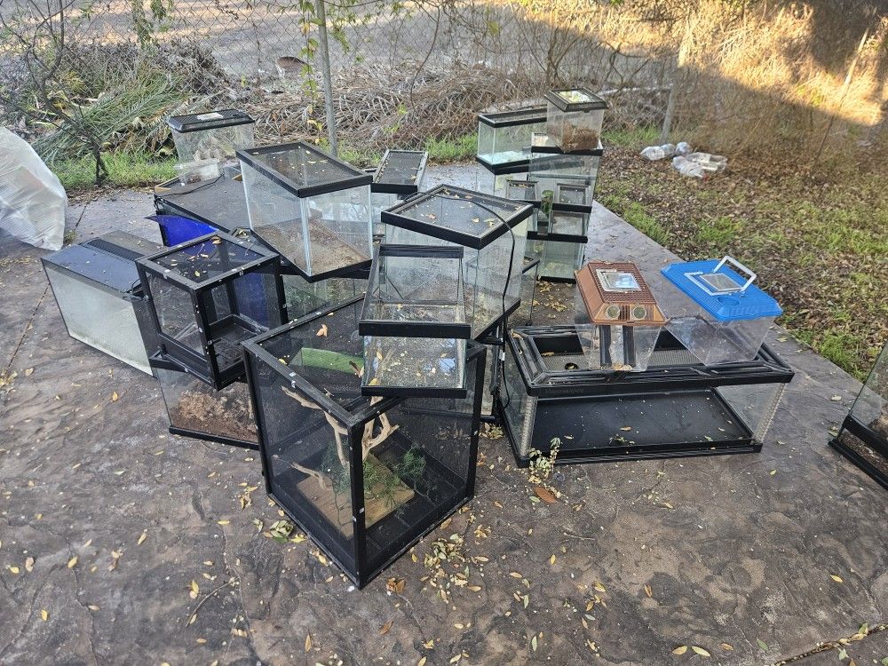 Reptile Tanks & Supplies!